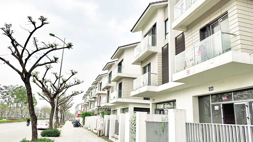 Những căn biệt thự triệu đô vắng khách thuê tại quận Hà Đông (Ảnh: Trương Thanh)